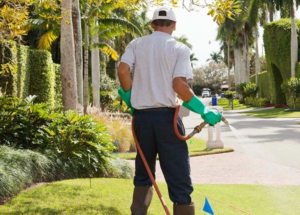 About Mount Sterling IA Pest Control